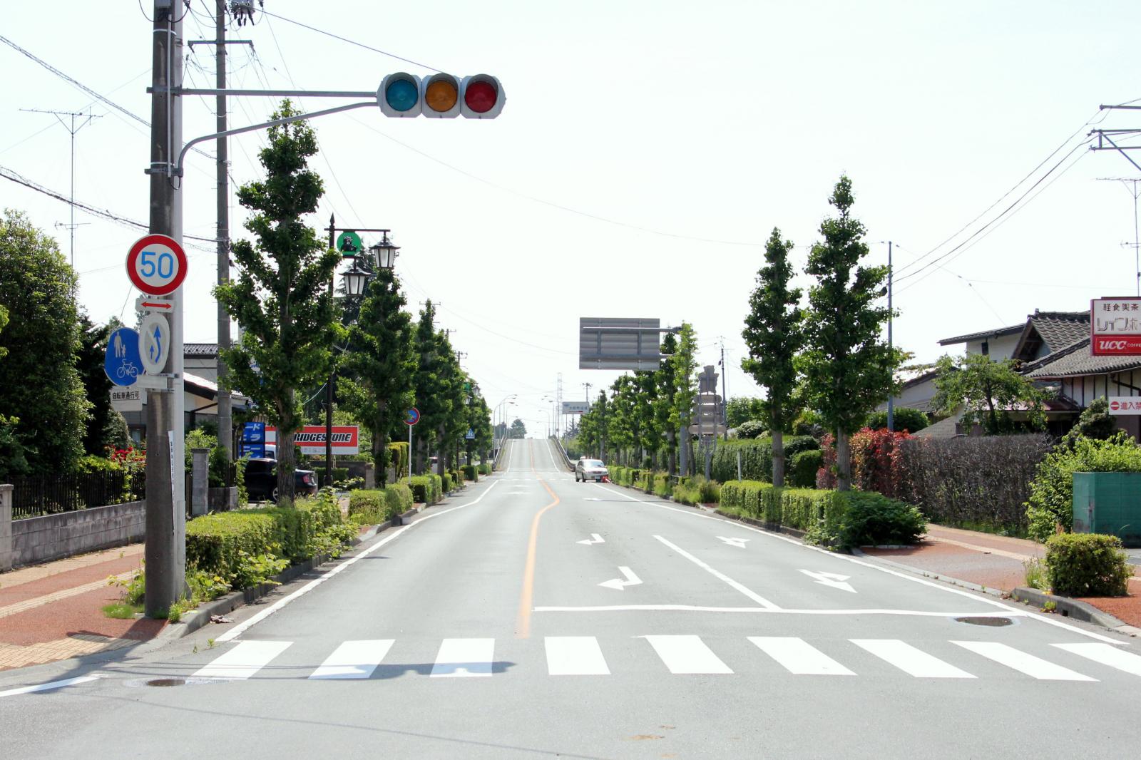 6月の調査立ち入り（2011年06月03日） 写真 4