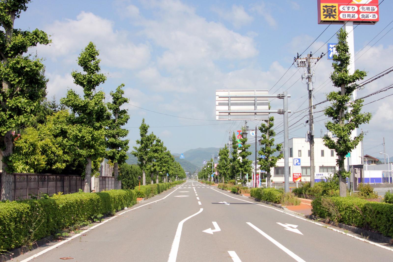 6月の調査立ち入り（2011年06月03日） 写真 6