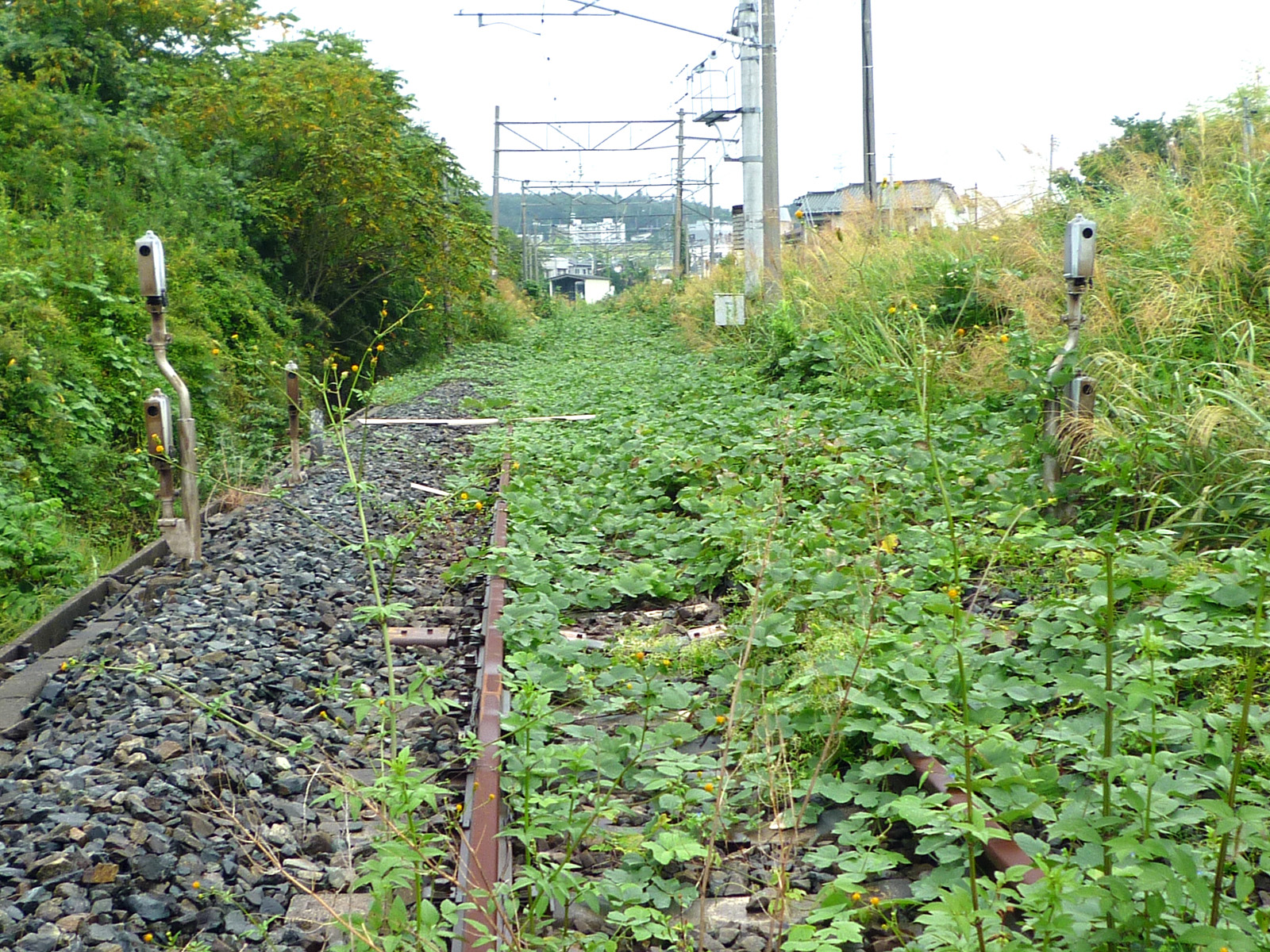 人だけが消えた町内（2012年） 写真 4