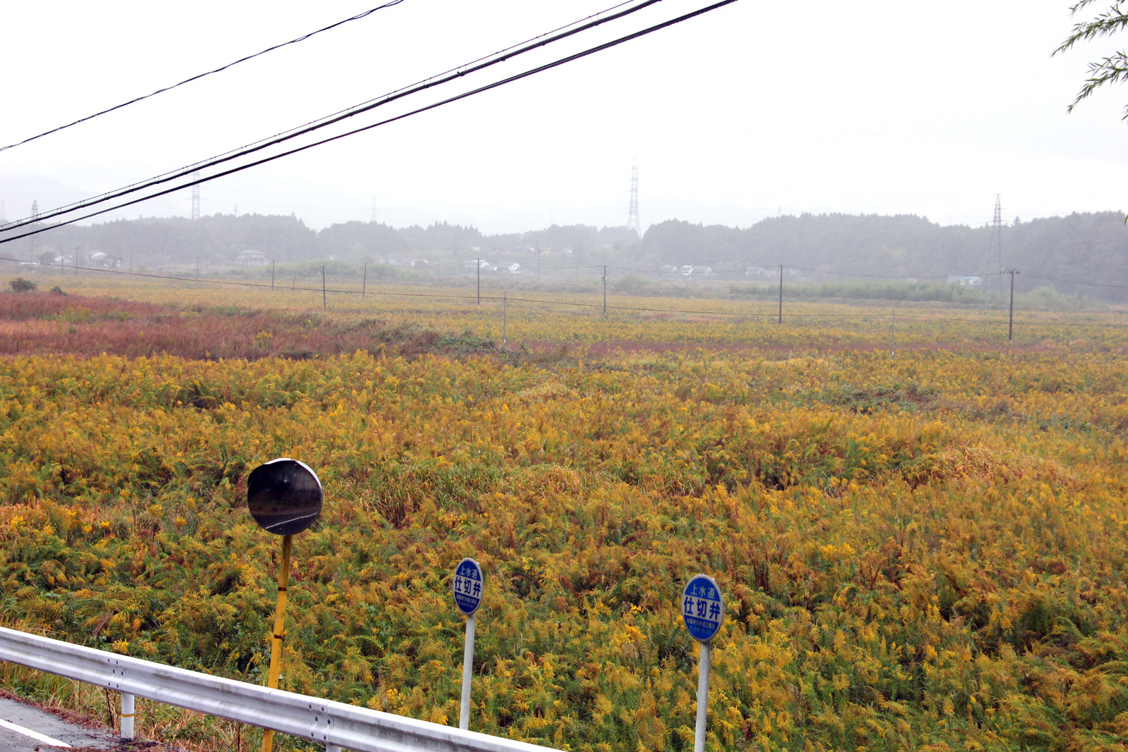 人だけが消えた町内（2012年） 写真 20