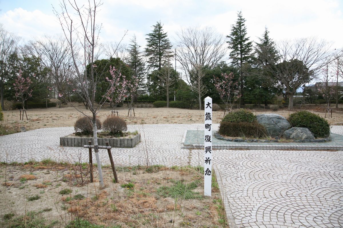大熊町の桜の様子（2013年） 写真 9
