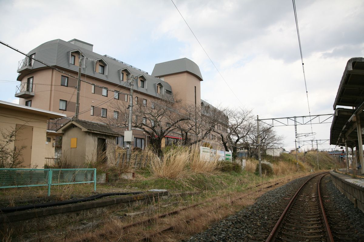 大熊町の桜の様子（2013年） 写真 14