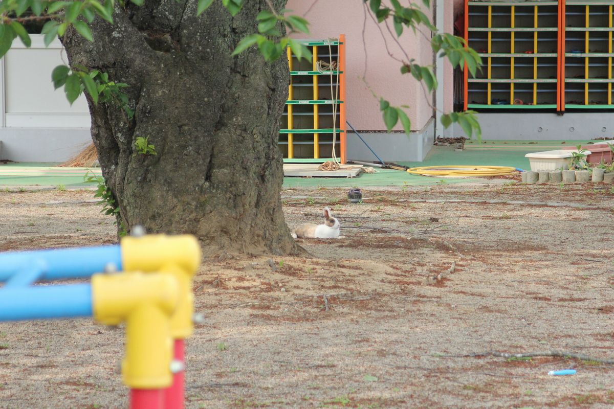非日常、住民のいない町の日常 写真 6