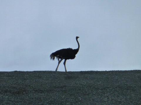 非日常、住民のいない町の日常 写真 1