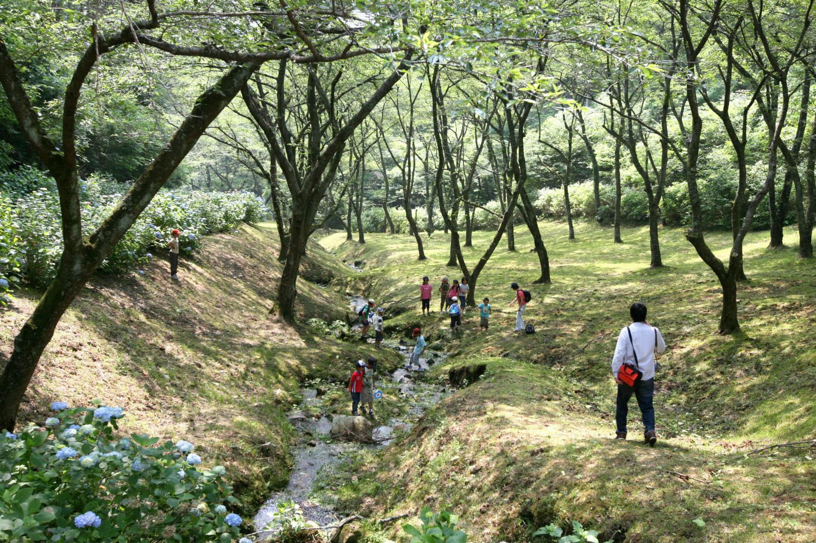 おおくまの行事 写真 19