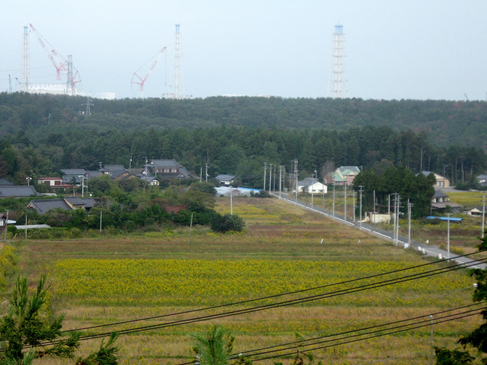 半年間で、、、２ 写真 1