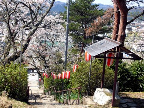 聖徳太子から見た桜と景色 写真 1