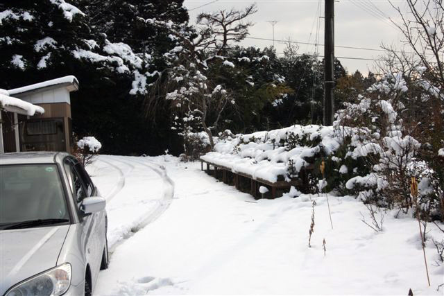 ３順帰宅　故郷は大雪でした 写真 4