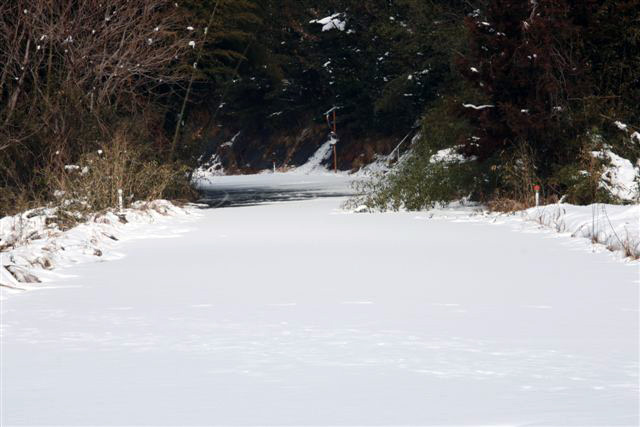 ３順帰宅　故郷は大雪でした 写真 5