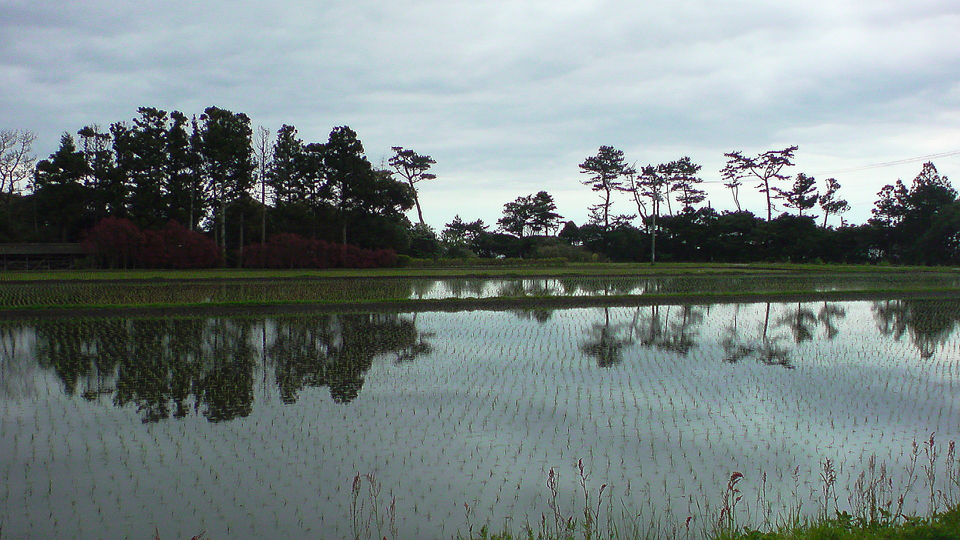 震災前の熊川の風景 写真 2