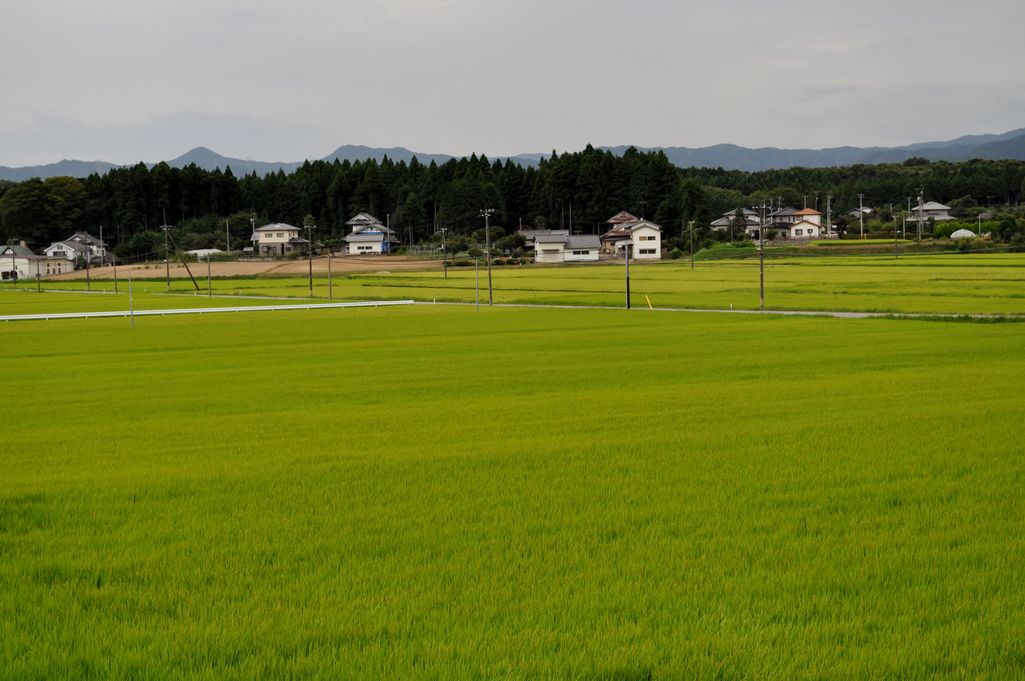 大熊町・夫沢の風景 （2010年8月撮影） 写真 4
