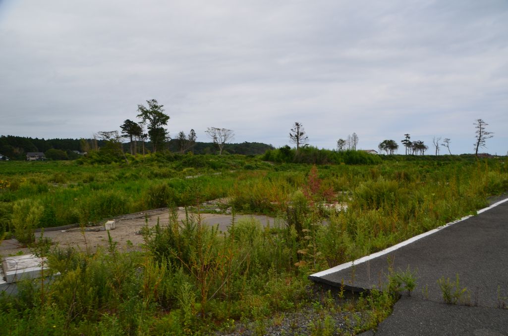 大熊町・熊川の風景 (2013年9月撮影) 写真 5