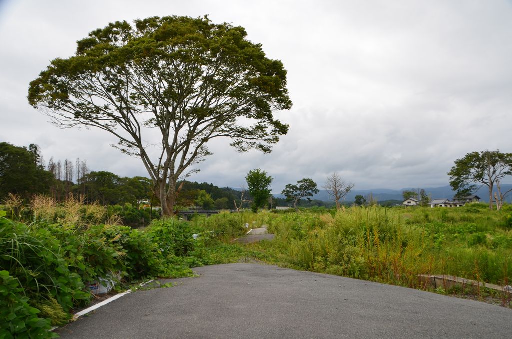 大熊町・熊川の風景 (2013年9月撮影) 写真 8