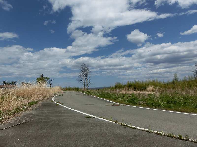 熊川の風景（2014年5月18日撮影） 写真 4