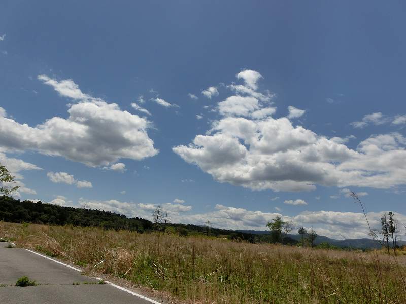 熊川の風景（2014年5月18日撮影） 写真 3