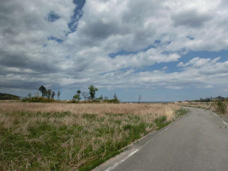 熊川の風景（2014年5月18日撮影） 写真 5