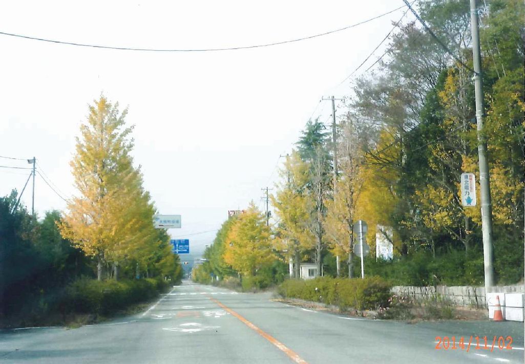 大熊町内の風景（2014年11月2日撮影） 写真 2