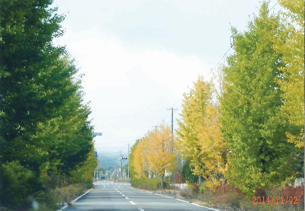 大熊町内の風景（2014年11月2日撮影） 写真 3
