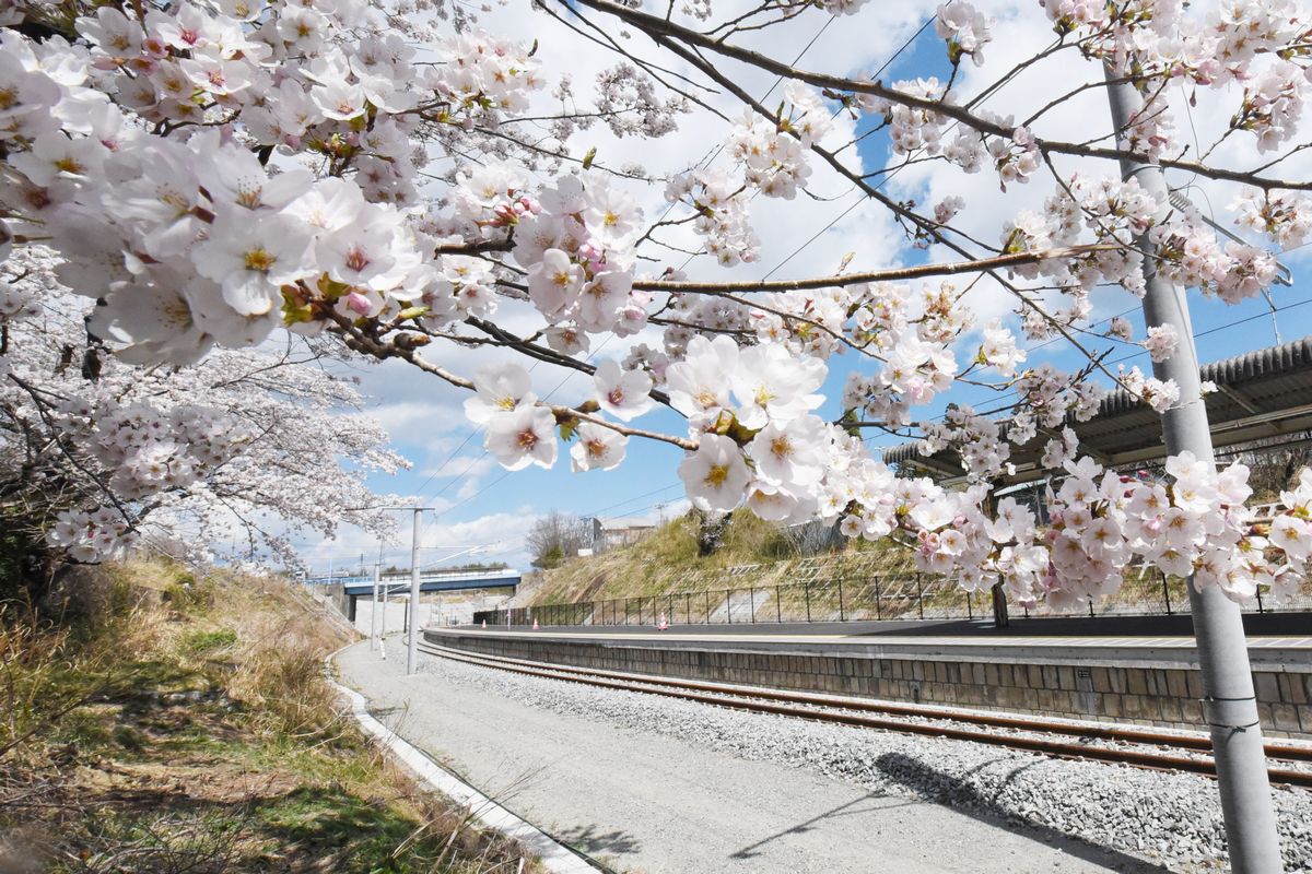 大野駅