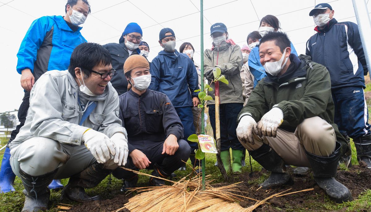 植栽した苗を見つめる参加者