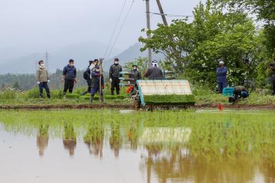 試験田で田植えを行う町農業委員会関係者ら