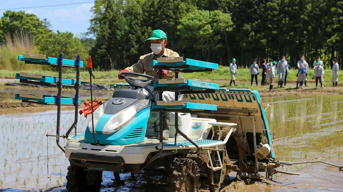 大川原地区の実証田で酒米を植える町農業委員