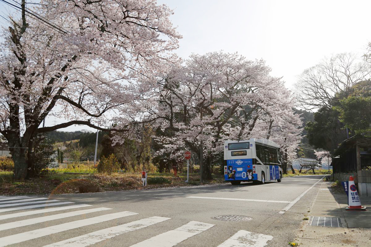 桜咲く町内を生活循環バスが走ります