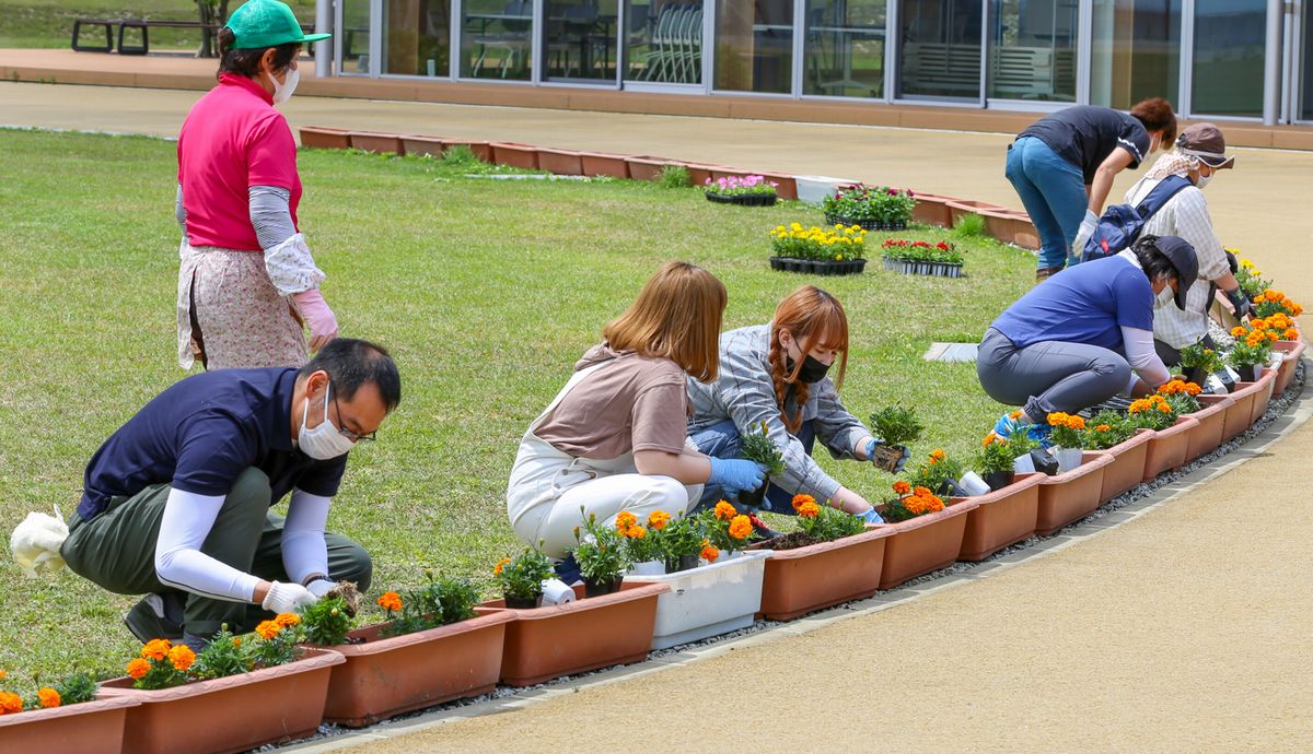 町役場前のプランターに花の苗を植えるメンバー