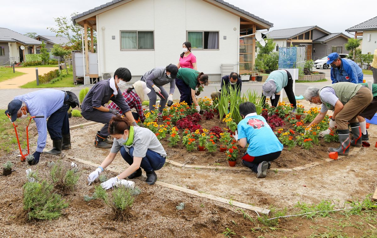 災害公営住宅の花壇に花の苗を植える参加者
