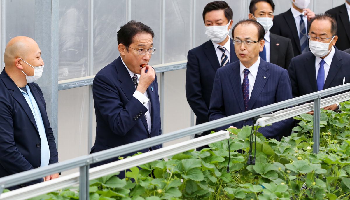 イチゴを試食する岸田首相（左から２人目）
