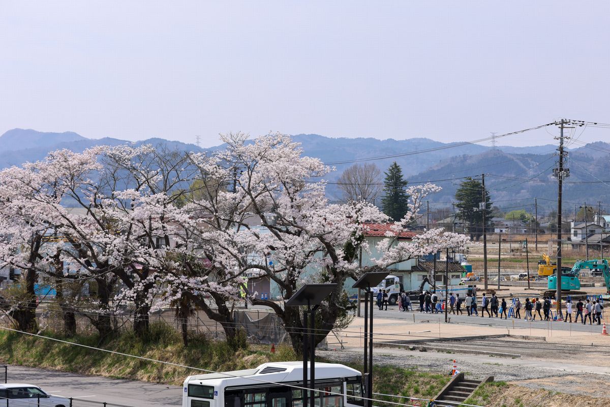 基盤整備工事が始まった下野上地区復興拠点。家屋解体後に桜が残った駅前を歩く視察者の列