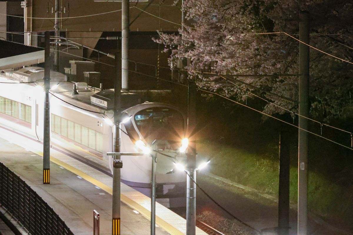 特急列車の光で浮かび上がる桜