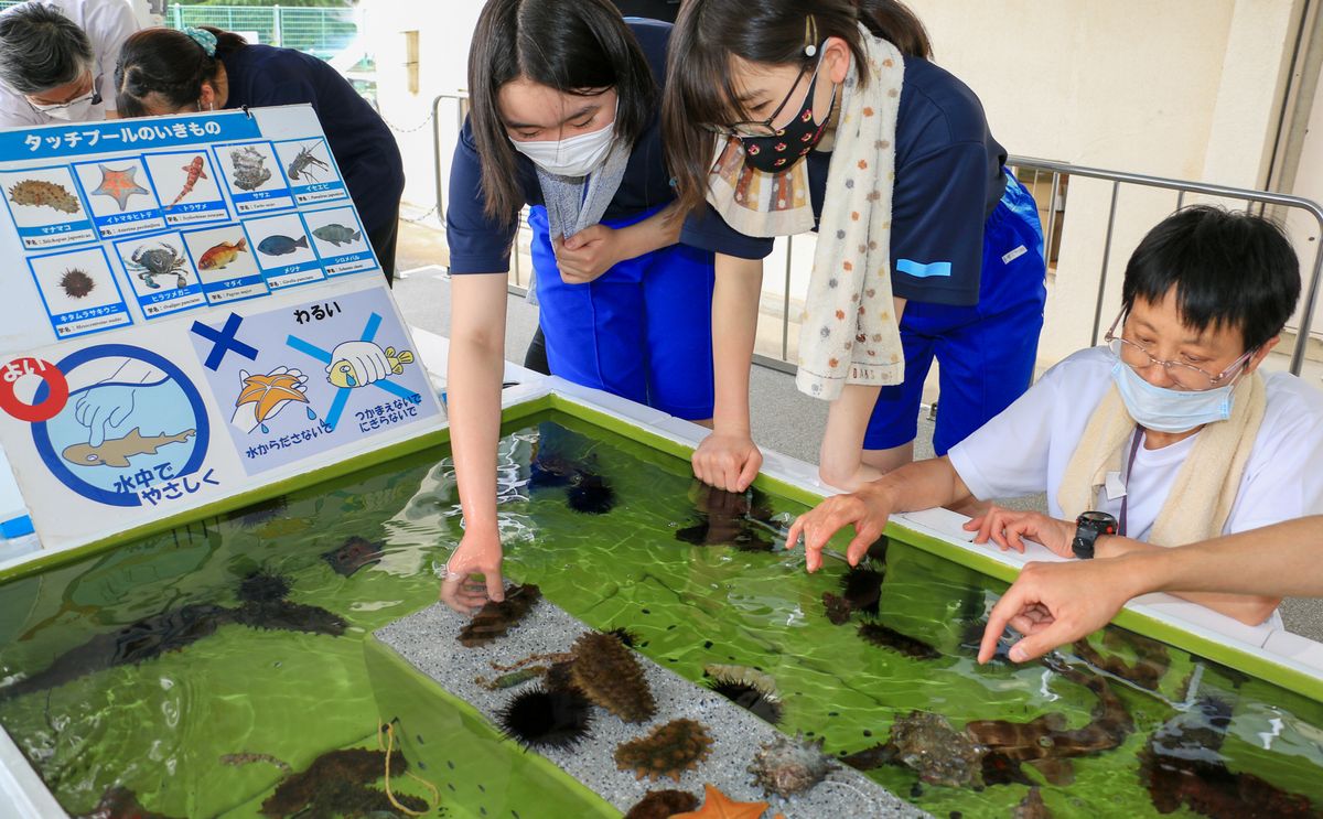 水槽を観察する生徒ら