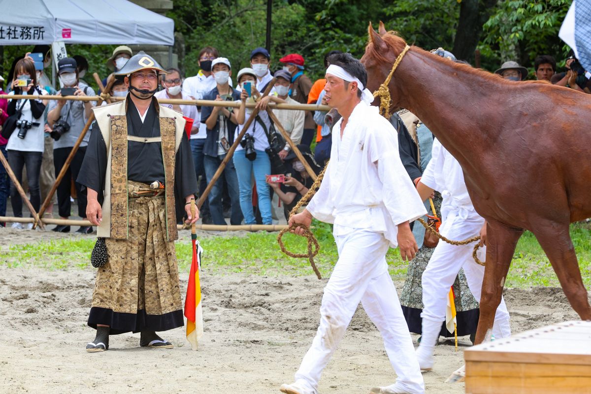 捕獲野馬のおせりでは、勘定奉行の鈴木清彦さんがせりに参加しました。