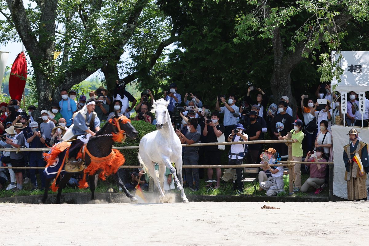 上げ馬の神事という儀式で、野馬に見立てられた馬が騎馬武者たちに追われ竹矢来の中に追い込められます。