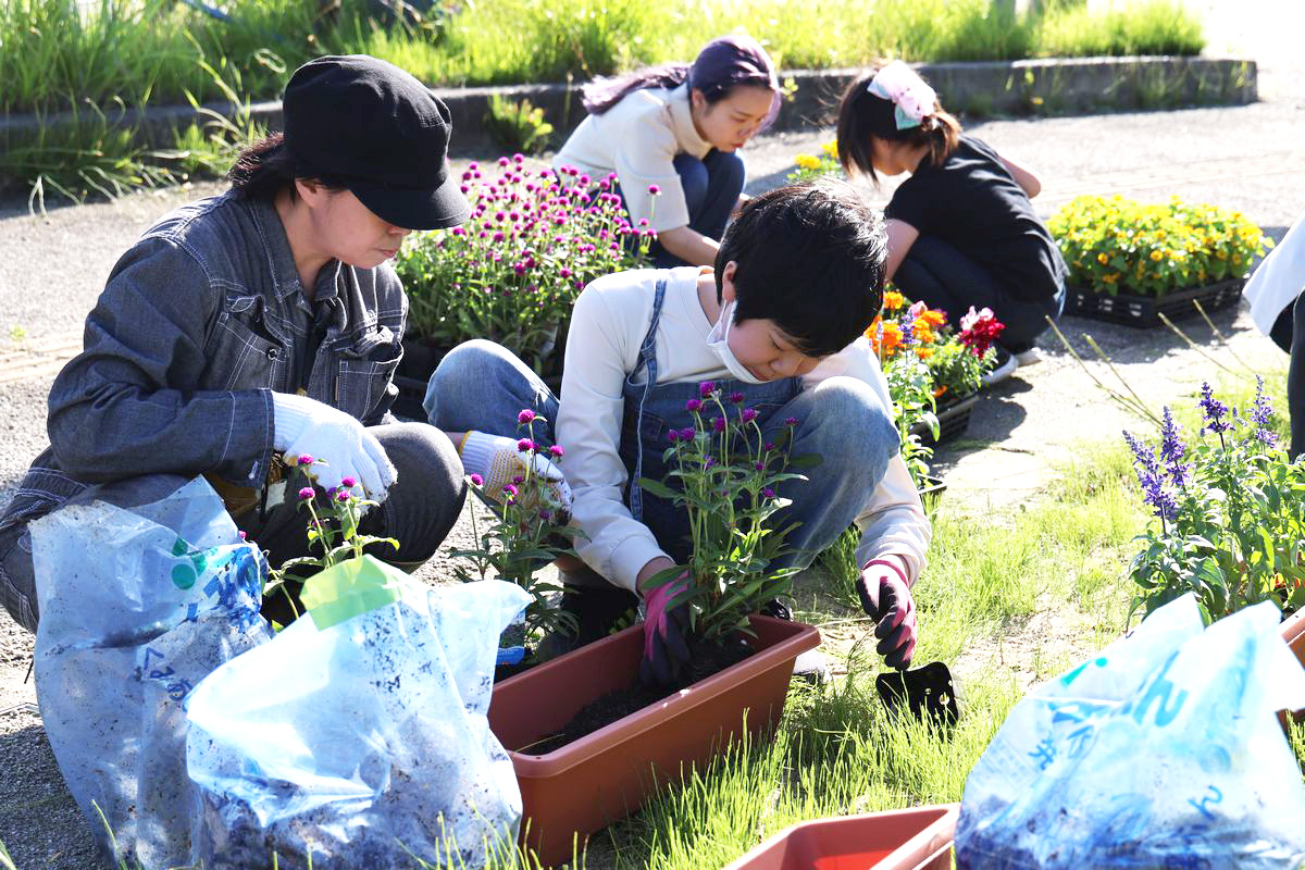 プランターに同じ種類の花の苗を植える参加者。今回は、マリーゴールドやシャクヤク、カルミアなど5種類ほど植えました。