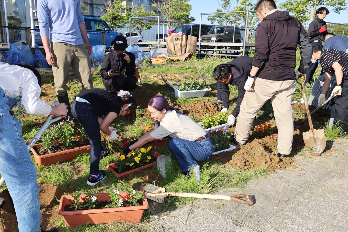 花植えが終わると、プランターは道路沿いに2列に配置。プランターと地面の高さが同じくらいになるよう穴を掘り上げ埋め込みました。