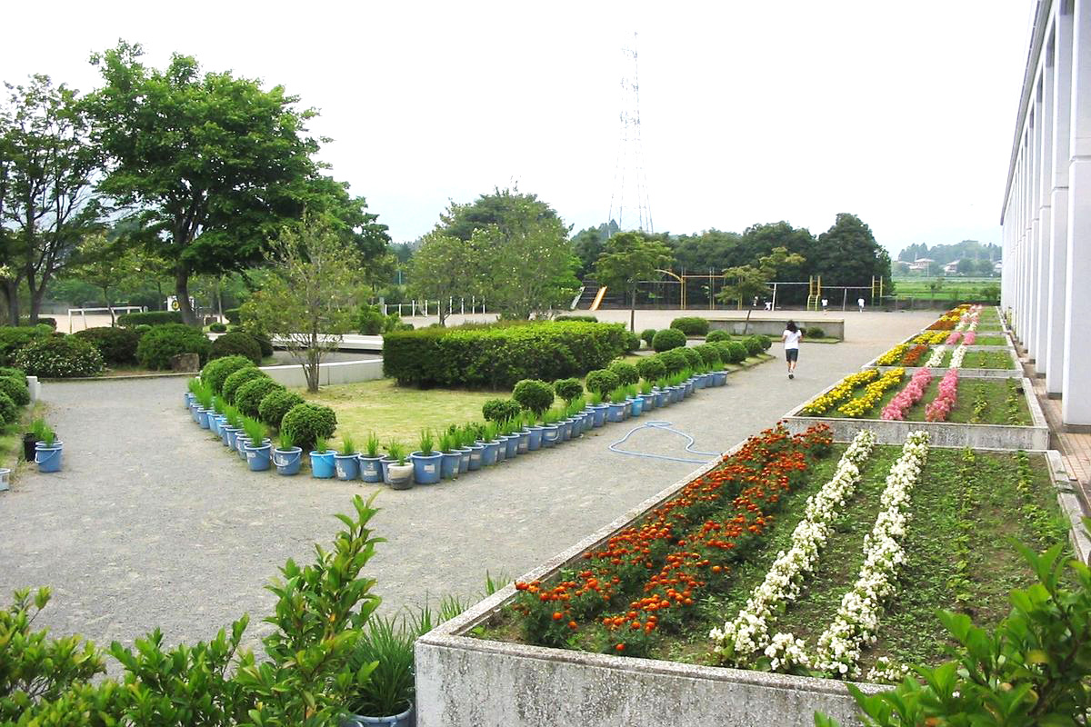 大野小学校中庭に整備された花壇(初夏)  2006年6月29日撮影