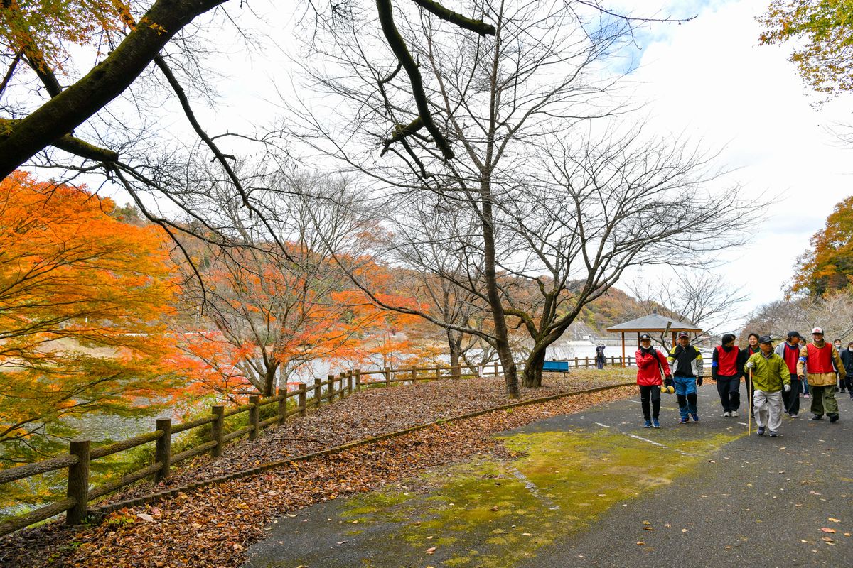 天気に恵まれウォーキングを楽しむ参加者。