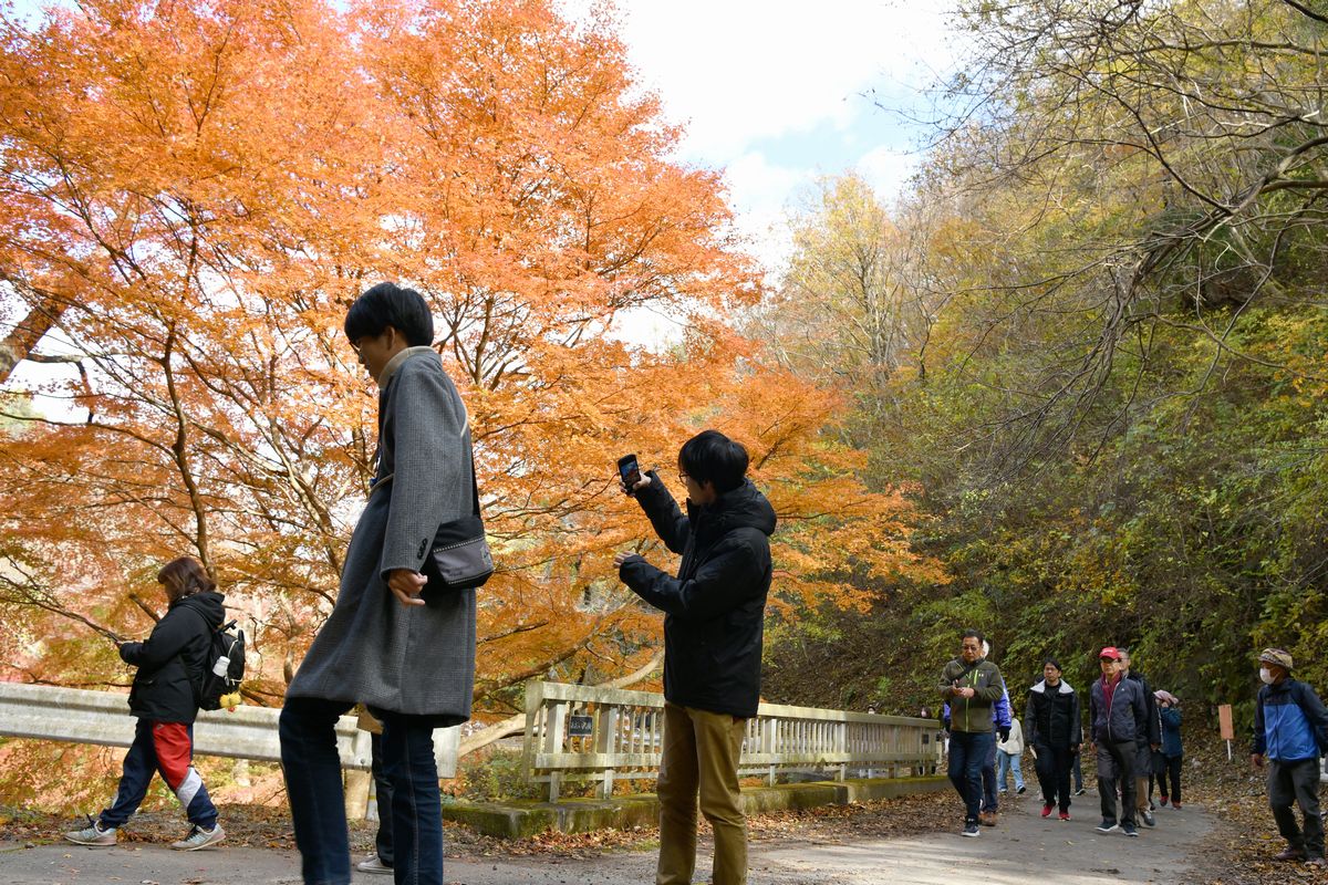 ウォーキングや紅葉狩りを楽しむ参加者。