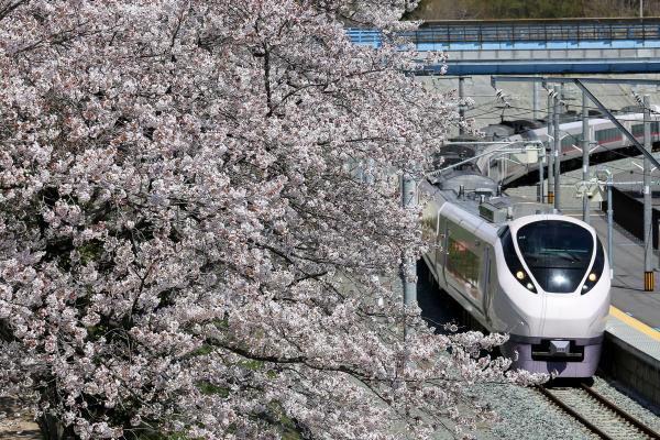 大熊町写真館1