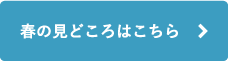 春の見どころはこちら