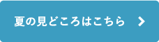 夏の見どころはこちら