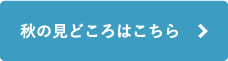 秋の見どころはこちら