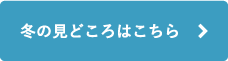冬の見どころはこちら