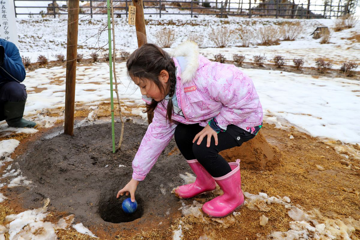 式典後、3人は頭森公園できぼうの桜の根本にシャベルで土をかけて桜の成長を願いました。写真は、桜の木のすぐ近くに紲石（きずないし）を埋める卒園児