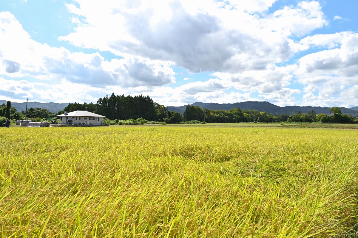 町農業委員会らが実証を行ってきたほ場