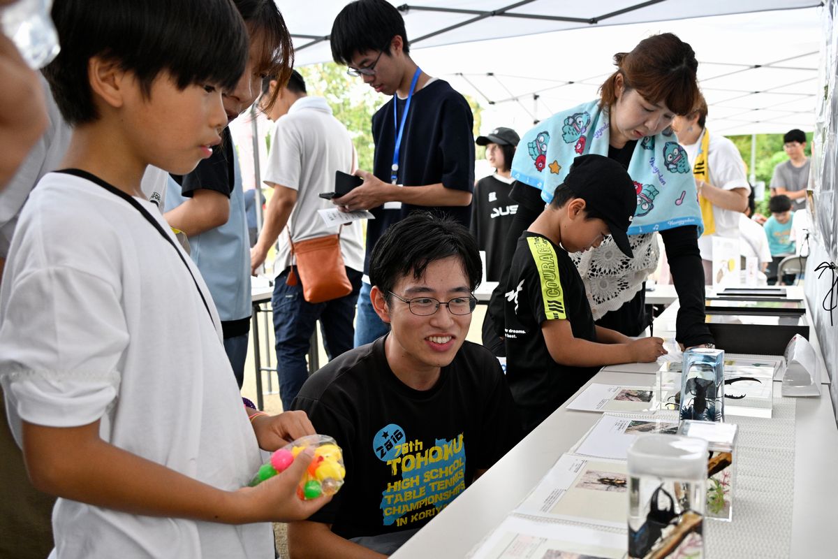 標本と写真の展示・物販が行われた大熊昆虫展では、訪れた来場者が興味津々に見入っていました。