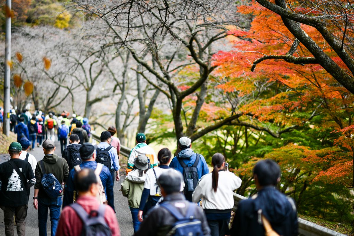 赤く染まり始めた木々の中を歩く参加者の皆さん