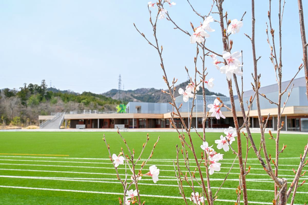学び舎ゆめの森を見つめる桜